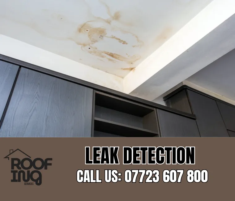 Roof Leak Detection in Wadebridge