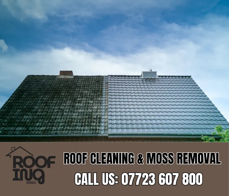 Roof Cleaning in Wadebridge